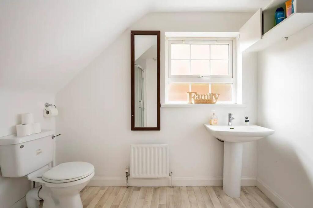 Lovely One Bedroom Flat. Belfast Ngoại thất bức ảnh